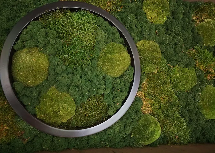 Hotell Turistsenter Budget